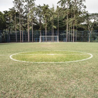 Campo De Futebol 04
