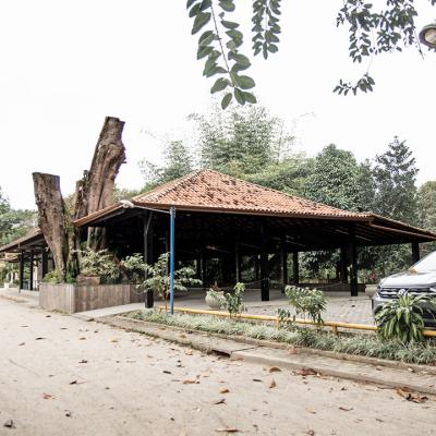 Churrasqueira Celio Figueiredo 09